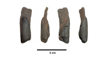 Un grupo de investigadores descubre la que sería la herramienta más antigua de la humanidad: tiene más de 400.000 años