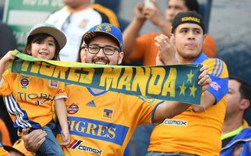 Tigres fans