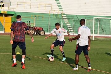 La Tricolor definió los últimos detalles antes del encuentro con la Selección Boliviana por las Eliminatorias. El partido se llevará a cabo el jueves 2 de septiembre en el Estadio Olímpico Hernando Siles. En rueda de prensa, el técnico Reinaldo Rueda afirmó que, "hemos estado analizando las características de los goles que ha recibido y los que ha marcado el equipo de Farías" 