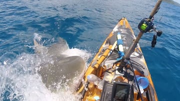 Un tiburón embiste y muerde el kayak de un pescador