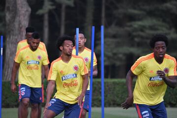 La primera práctica de la Selección en territorio italiano fue para realizar trabajos de recuperación física en campo y gimnasio. Cambiasso se unió al cuerpo técnico.