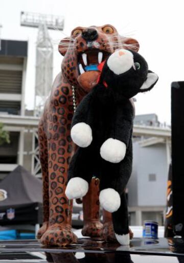 Aqu¨ª algo que estaba en el Jaguars-Panthers pero que no me atrevo a definir. De hecho, me da un poco de miedo. Esta foto da para un especial de Cuarto Milenio.
