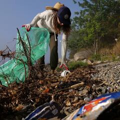 ¿De qué empresa provienen los plásticos más encontrados en las playas?