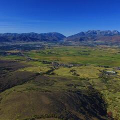 El salvaje campo de Tiger Woods
