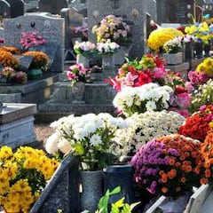 Barcelona tendrá un cementerio de animales