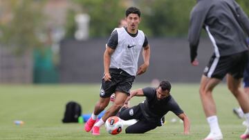 El plan de Brighton para evitar recaída de Steven Alzate