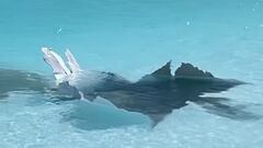 Un misil iraní impacta en la piscina de olas de Tel Aviv