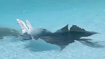 Bombardeo en la piscina de olas de Tel Aviv