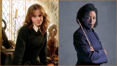 Hermione Harry Potter