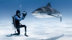 El surfista y buceador Mike Coots fotografiando un tibur&oacute;n en el fondo del mar. 