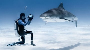 El surfista y buceador Mike Coots fotografiando un tiburón en el fondo del mar.