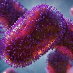 Virus MPOX: ¿Qué es, síntomas y por qué aumentó tanto en México?