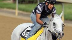 'Hansen': la esperanza blanca para Kentucky