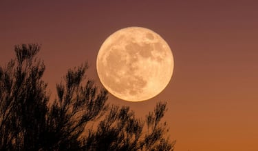 Eventos astronómicos de Febrero 2026: fases lunares, Luna llena de Nieve, conjunciones y Eclipse Solar Anular