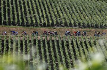 La victoria de Alaphilippe en Épernay en imágenes