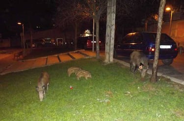 ¿Demasiado Pepa Pig?