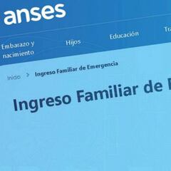 4 ANSES IFE: ¿a quién pueden pedir la devolución completa del aporte?