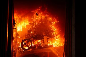 Un árbol de Navidad sufre el incendio dentro de una casa en Palisades. Los bomberos y el gobierno de Los Ángeles trabaja a marchas forzadas para aminorar la intensidad de los fuegos.