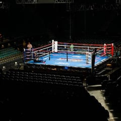 Médicos de Ringside proponen precauciones adicionales para la reanudación de los combates