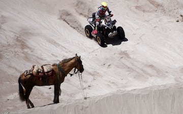 Divertida imagen durante la undécima etapa del Dakar 2018. El piloto alemán de quad Jan Bastiaan Nijen Twilhaar pasa por delante de un caballo. 