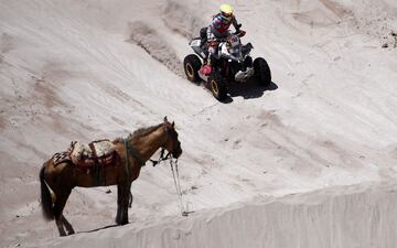 Divertida imagen durante la und¨¦cima etapa del Dakar 2018. El piloto alem¨¢n de quad Jan Bastiaan Nijen Twilhaar pasa por delante de un caballo.