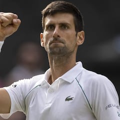 Djokovic sólo quería jugar al tenis