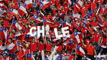 Leonardo Farkas llenará de banderas chilenas la final