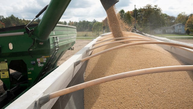 Midwestern growers who once strongly backed Donald Trump are watching markets collapse and bailout promises fall flat.