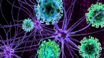 El CSIC confirma cu¨¢ndo desapareci¨® la primera cepa del virus en Espa?a