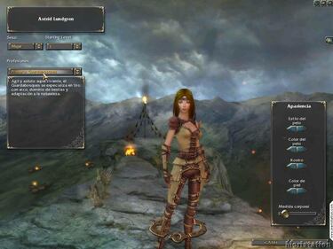 Guild Wars, Impresiones