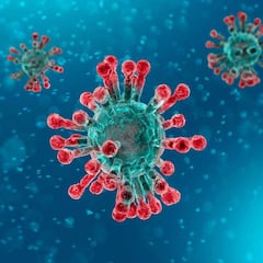 Los siete tipos de coronavirus que infectan a los humanos
