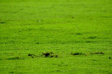 Al campo de juego aún le falta para mejorar.