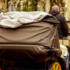 Adiós a este transporte clásico en España: una ciudad andaluza dejará de usarlo para siempre e indemnizara a los trabajadores
