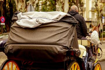 Un coche de caballos lleno de barro por las calles de Sevilla.