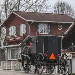 Caballeros contra Halcones: básquet en el estado amish