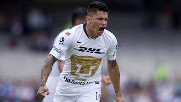 Juan Manuel Iturbe, Pumas