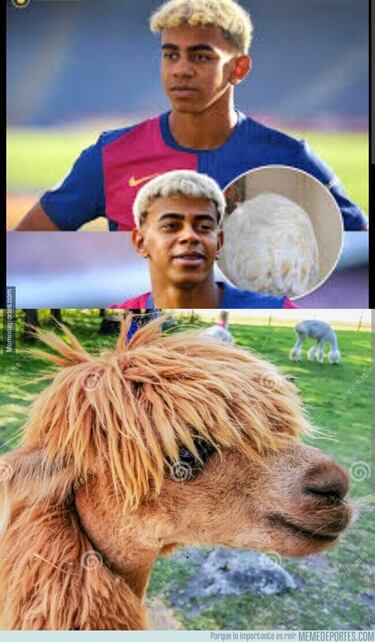 Los mejores memes de la final de la Copa del Rey