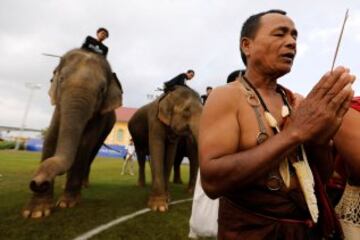 Un monje tailandés reza en el previo al partido de polo sobre elefantes.