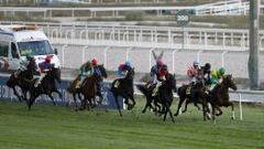 El hipódromo de La Zarzuela frena el inicio de las carreras