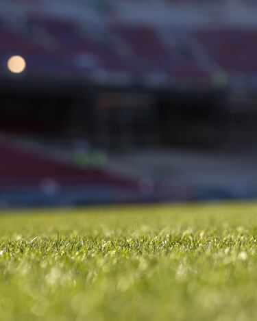 Este regreso está previsto para que coincida con el inicio de la fase liga de la Champions League.