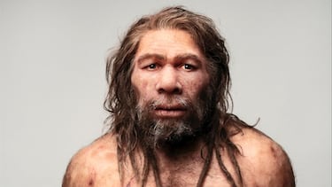 Ni cataclismo ni gran guerra en la antigüedad, un modelo matemático arroja luz verdad sobre la desaparición del neandertal