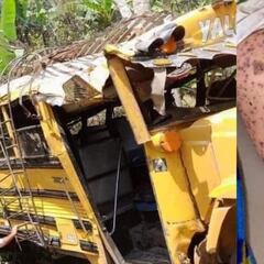 Un enjambre de abejas africanas ataca un autobús y deja cuatro muertos