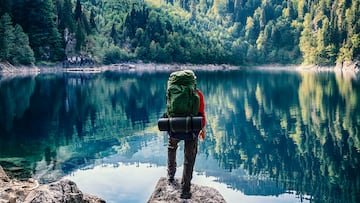 Active tourist with backpack standing at mountain lake and pine wood background