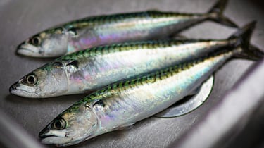 Los beneficios del omega 3: así pueden aprovecharlo los deportistas