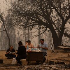 Bono Recuperación de $1.500.000 para afectados por incendios: quiénes lo reciben, cómo se postula