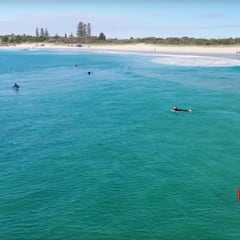 Imagenes aéreas demuestran lo difícil que es ver los tiburones en el surf