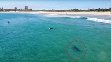 Un tiburón blanco rodeado de un círculo rojo acecha a varios surfistas en Tuncurry Beach (New South Wales, Australia).