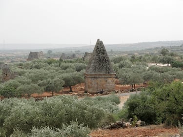 El país de Oriente Próximo está entre los diez países con mayor producción. Aunque la cantidad varía en función de la sequía, y además, en este caso, por la guerra civil que viven desde 2011. Las cantidades se suelen encontrar entre las 60.000 y las 130.000 toneladas de media. Según los datos del COI (Consejo Oleícola Internacional), Siria produjo 134.000 toneladas en la última campaña y para la actual se espera que se reduzca un cincuenta por ciento. En la foto, olivos en las Ruinas de Bauda o de Al-Bara.



 