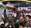 Botafogo: campeón multimillonario