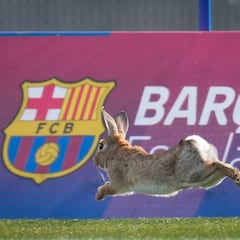 El suplente que cumple con creces y amenaza con la titularidad